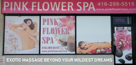 Pink Flower Massage 